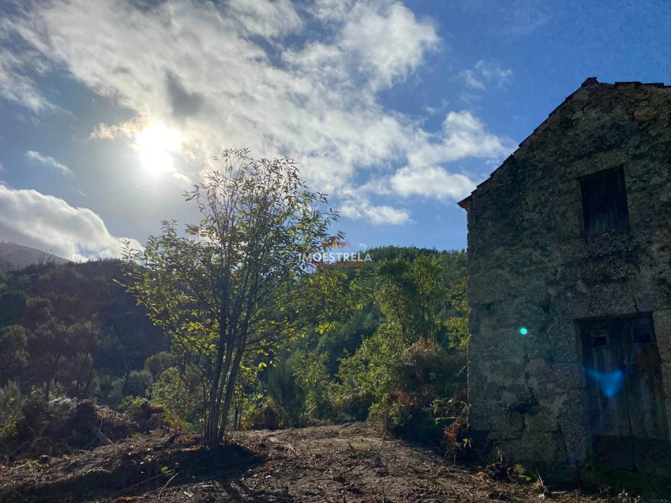 Quinta T0 para Venda em Sandomil Foto 4