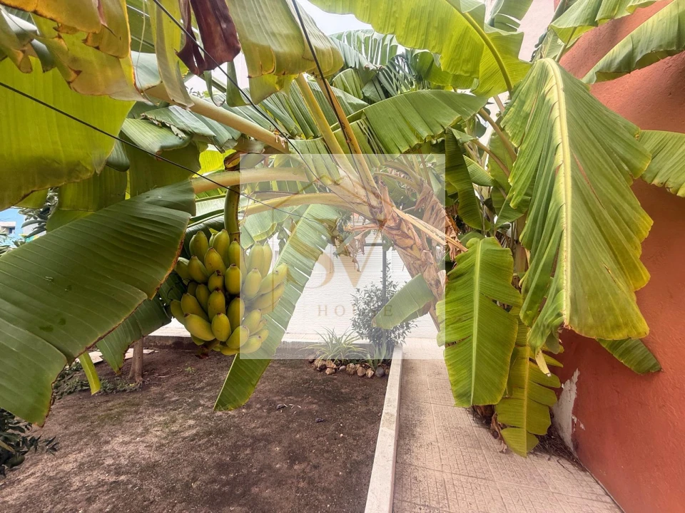 Moradia T3 para Venda em União das Freguesias de Setúbal Foto 3