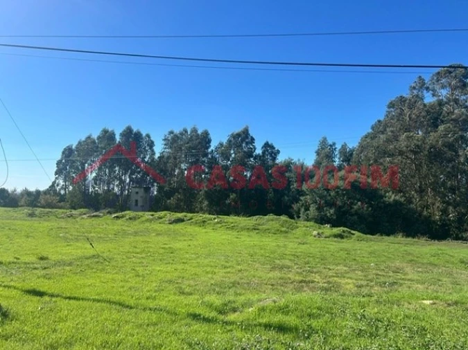 Terreno para Venda em O. Azeméis, Riba-Ul, Ul, Macinhata Seixa, Madail Foto 4