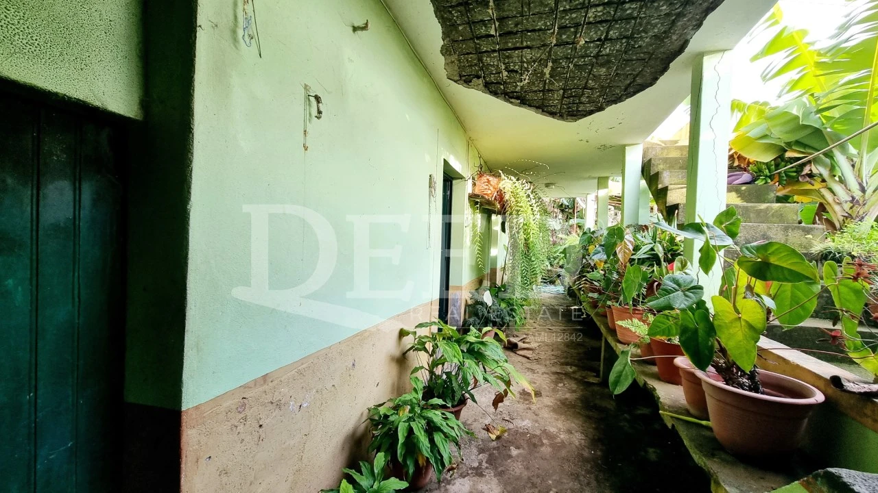 Moradia T2 para Venda em Ribeira Brava Foto 3