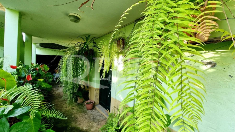 Moradia T2 para Venda em Ribeira Brava Foto 2