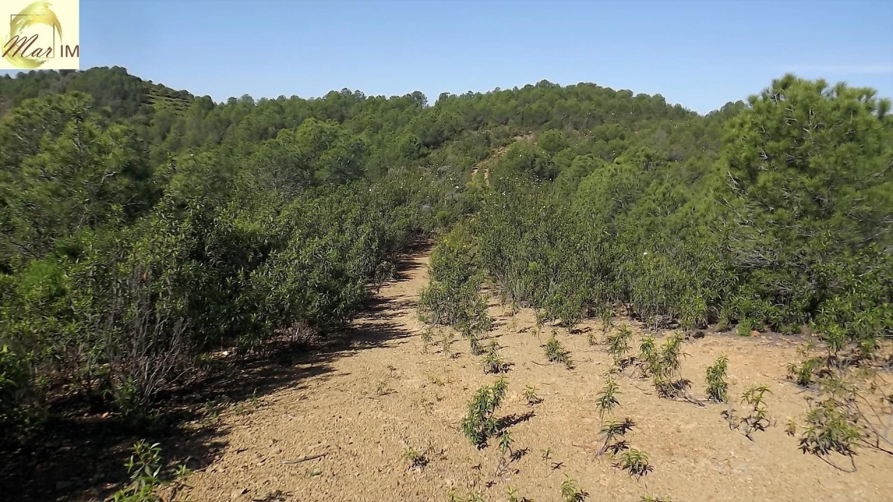 Terreno Agricola ou Rústico para Venda em Odeleite Foto 10