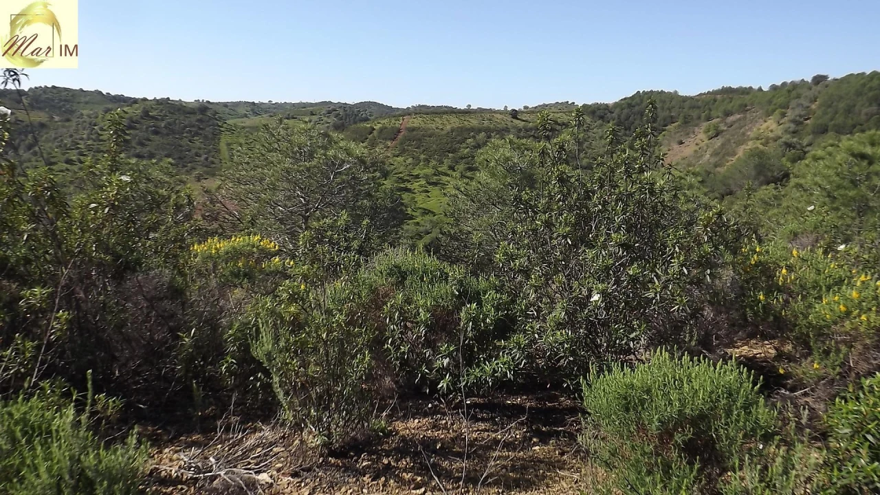 Terreno Agricola ou Rústico para Venda em Odeleite Foto 11