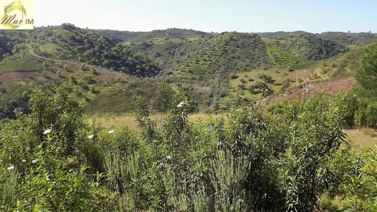 Terreno Agricola ou Rústico para Venda em Odeleite Foto 16