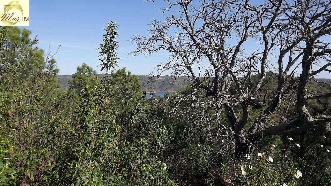 Terreno Agricola ou Rústico para Venda em Odeleite Foto 21