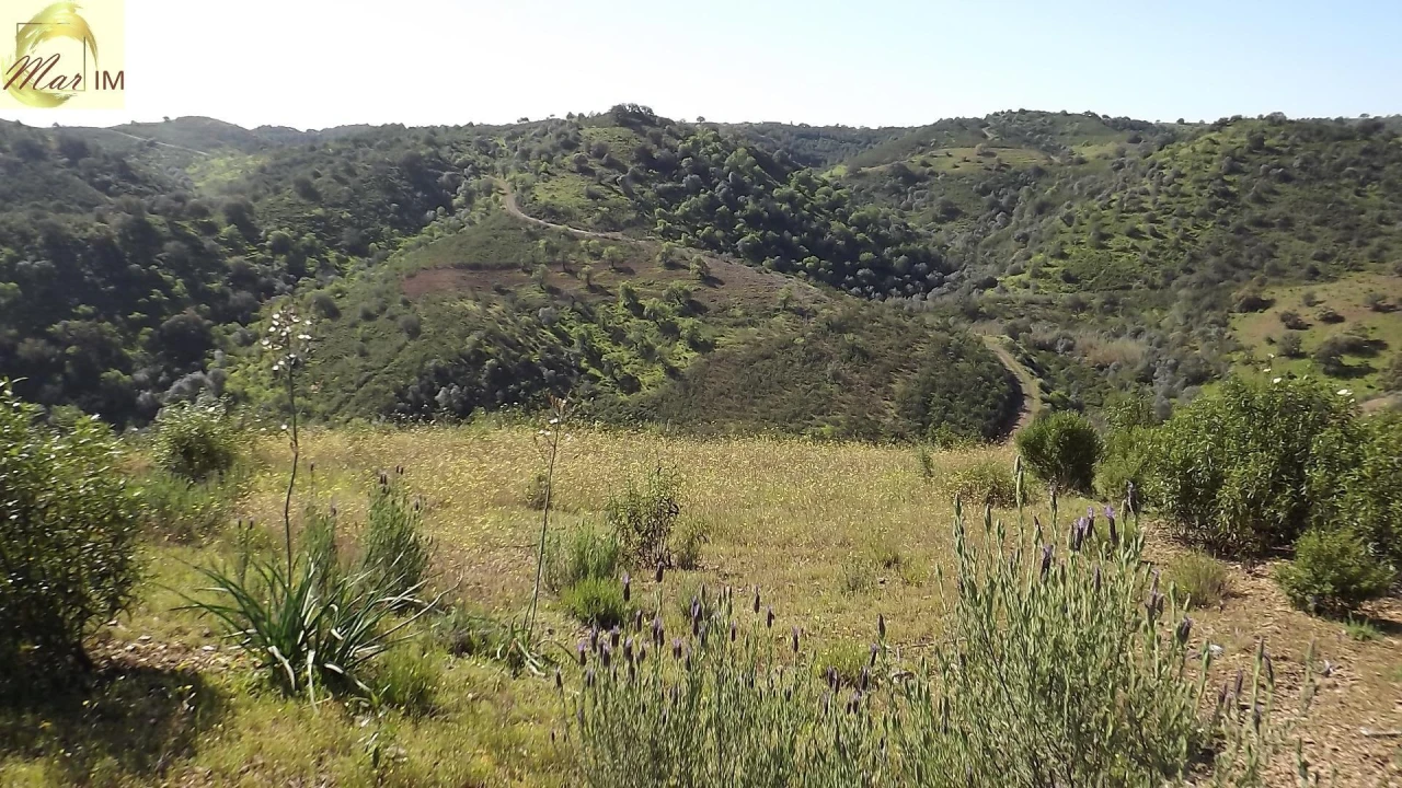 Terreno Agricola ou Rústico para Venda em Odeleite Foto 22