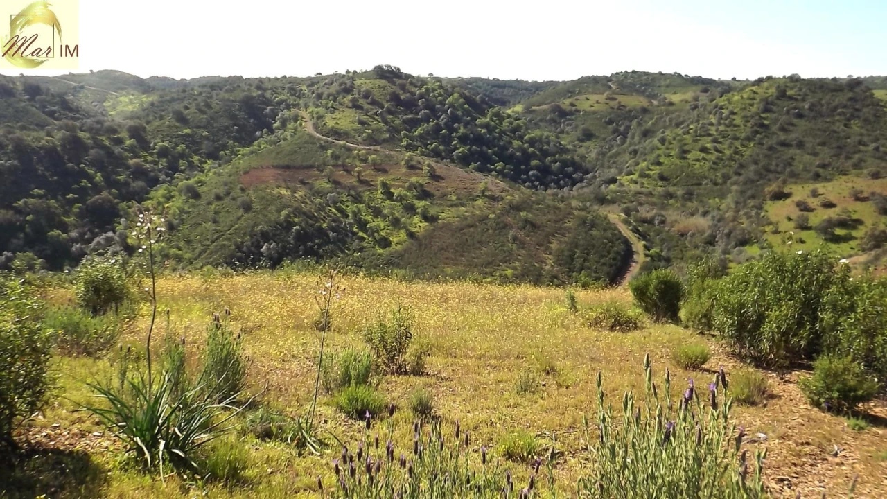 Terreno Agricola ou Rústico para Venda em Odeleite Foto 23