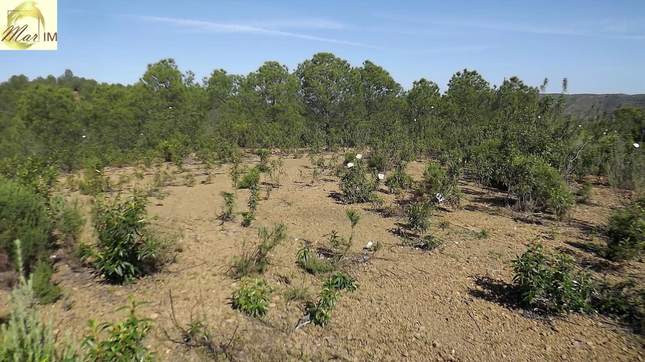 Terreno Agricola ou Rústico para Venda em Odeleite Foto 25