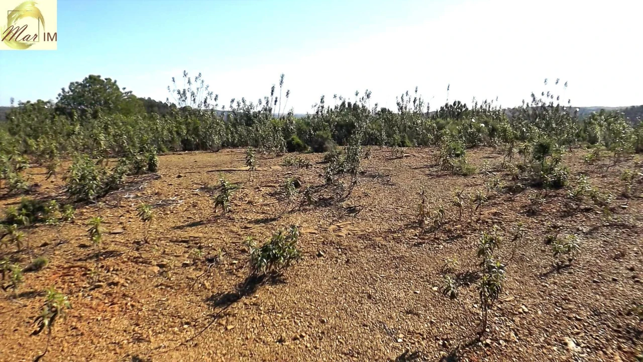 Terreno Agricola ou Rústico para Venda em Odeleite Foto 26