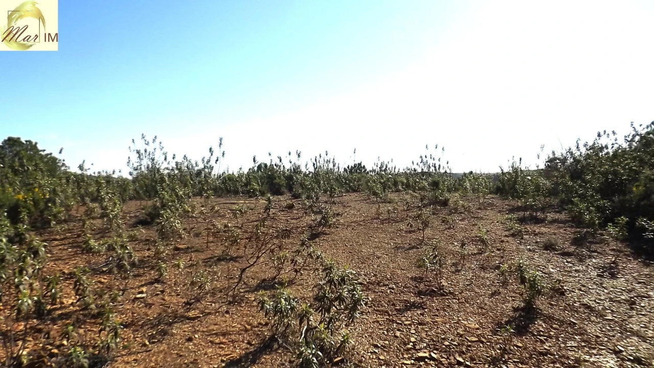 Terreno Agricola ou Rústico para Venda em Odeleite Foto 28