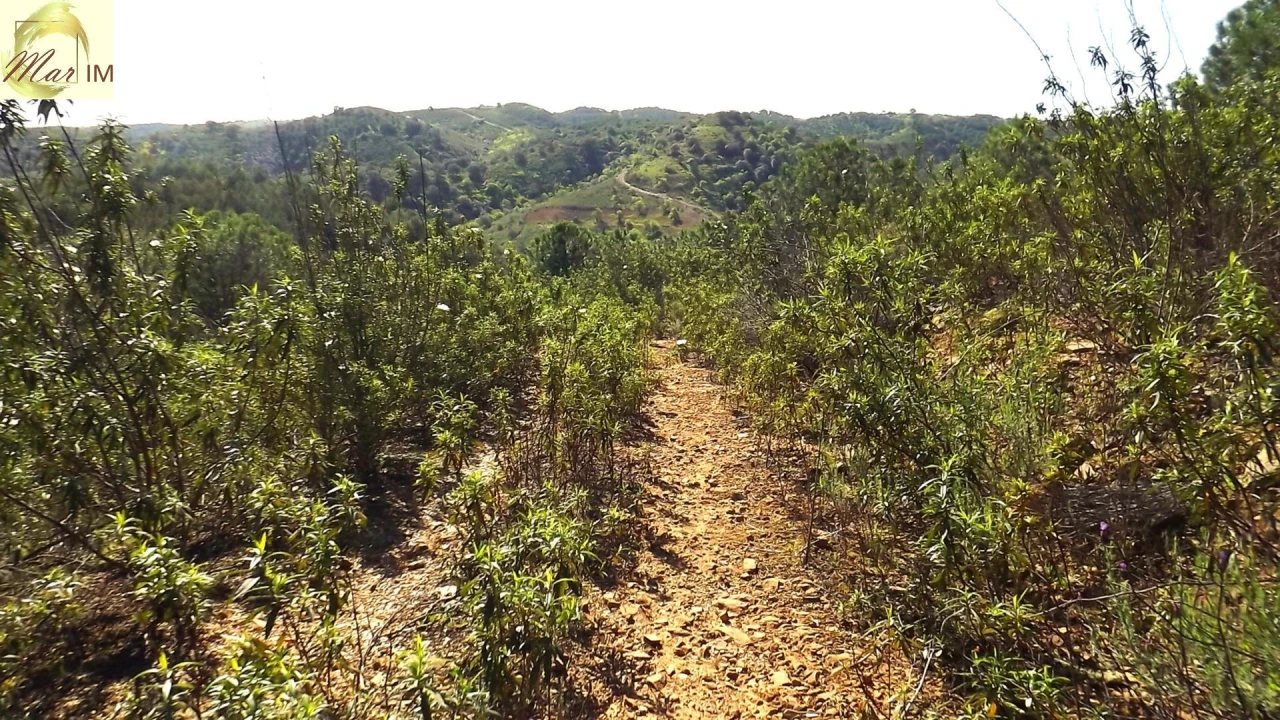 Terreno Agricola ou Rústico para Venda em Odeleite Foto 31