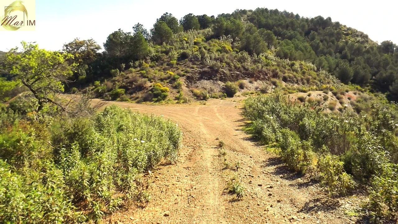Terreno Agricola ou Rústico para Venda em Odeleite Foto 48