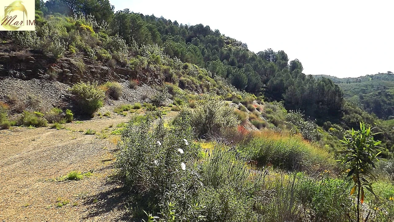 Terreno Agricola ou Rústico para Venda em Odeleite Foto 49