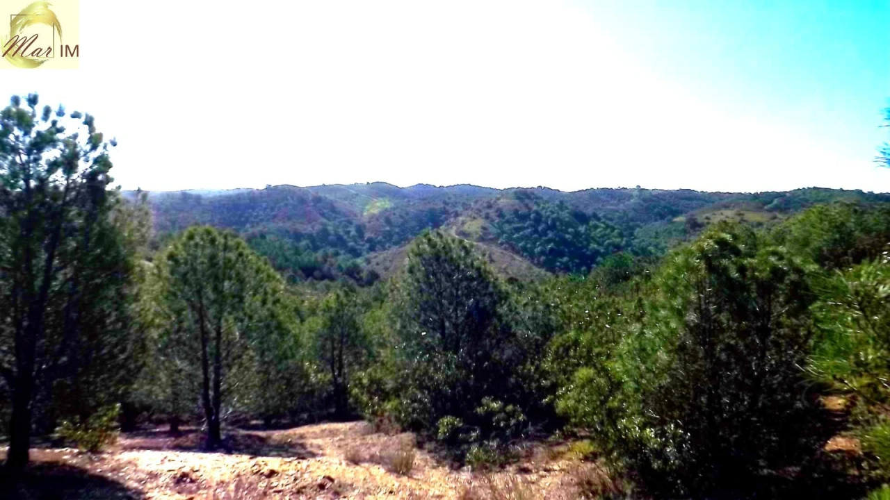 Terreno Agricola ou Rústico para Venda em Odeleite Foto 7
