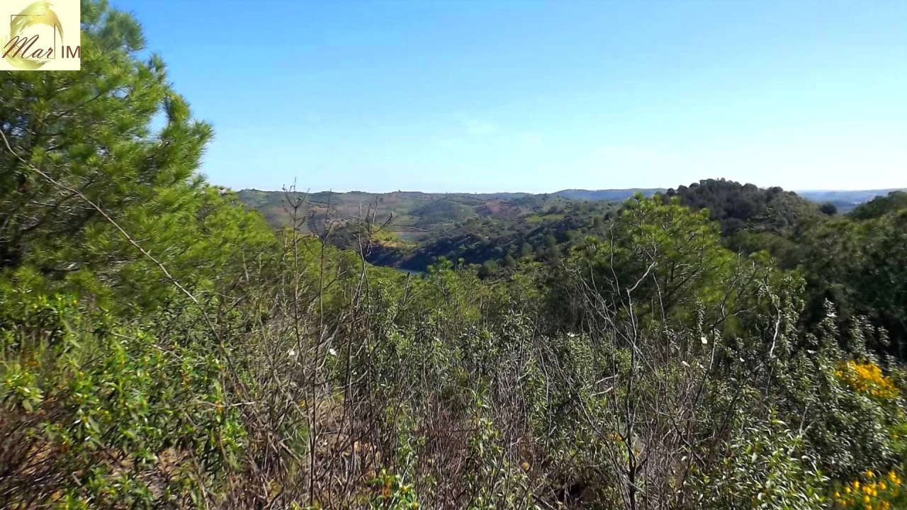 Terreno Agricola ou Rústico para Venda em Odeleite Foto 8