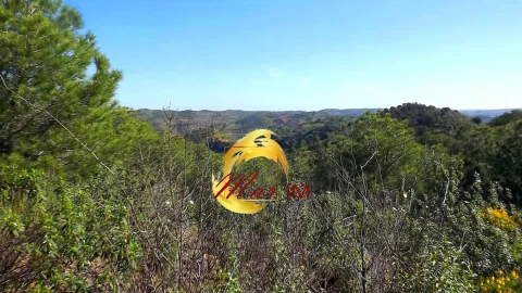 Terreno Agricola ou Rústico para Venda em Odeleite