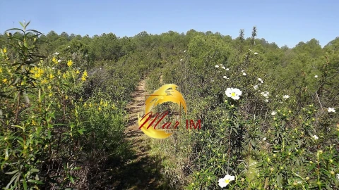 Terreno Agricola ou Rústico para Venda em Odeleite