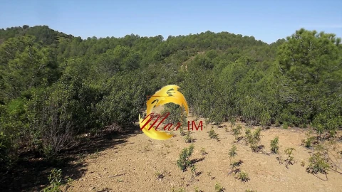 Terreno Agricola ou Rústico para Venda em Odeleite