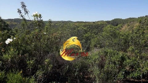 Terreno Agricola ou Rústico para Venda em Odeleite