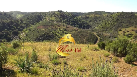 Terreno Agricola ou Rústico para Venda em Odeleite