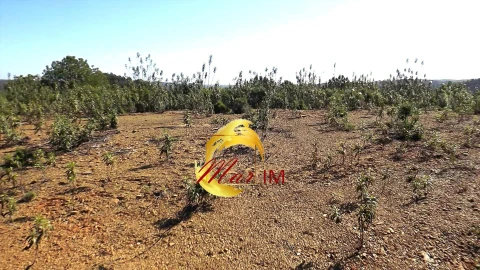 Terreno Agricola ou Rústico para Venda em Odeleite