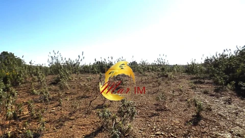 Terreno Agricola ou Rústico para Venda em Odeleite