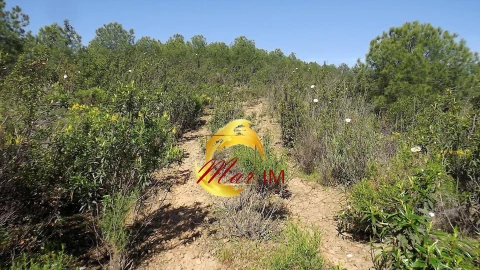 Terreno Agricola ou Rústico para Venda em Odeleite