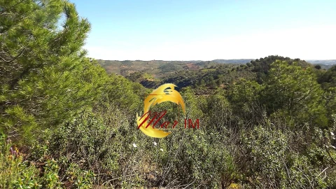 Terreno Agricola ou Rústico para Venda em Odeleite