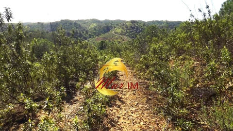 Terreno Agricola ou Rústico para Venda em Odeleite