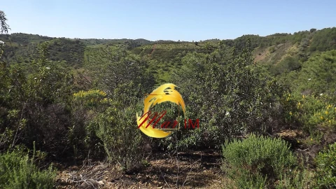 Terreno Agricola ou Rústico para Venda em Odeleite