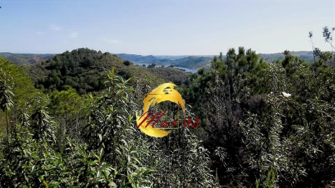 Terreno Agricola ou Rústico para Venda em Odeleite