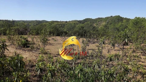 Terreno Agricola ou Rústico para Venda em Odeleite