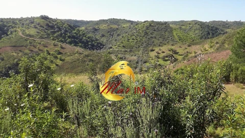 Terreno Agricola ou Rústico para Venda em Odeleite