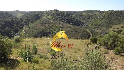 Terreno Agricola ou Rústico para Venda em Odeleite