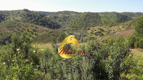 Terreno Agricola ou Rústico para Venda em Odeleite