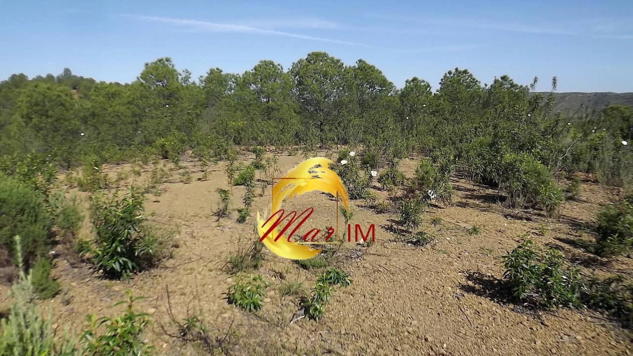 Terreno Agricola ou Rústico para Venda em Odeleite Foto 44