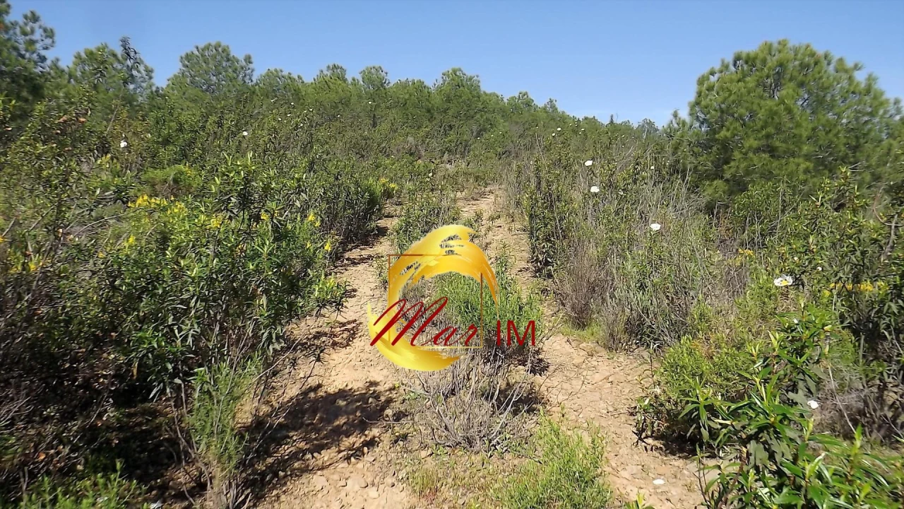 Terreno Agricola ou Rústico para Venda em Odeleite Foto 48