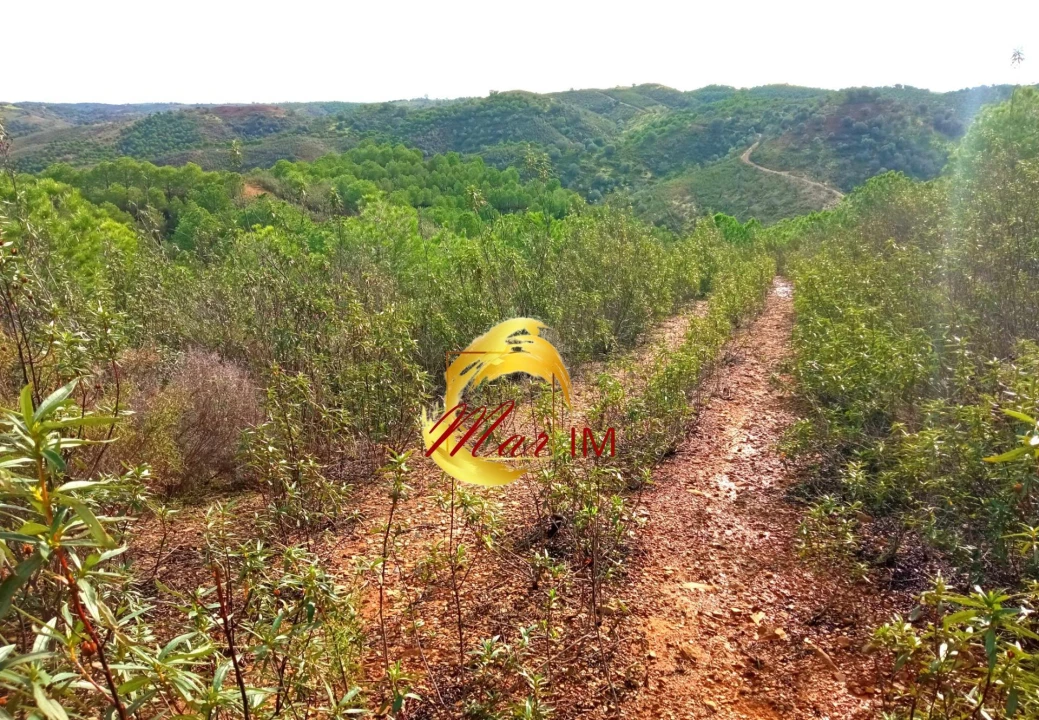 Terreno Agricola ou Rústico para Venda em Odeleite Foto 6