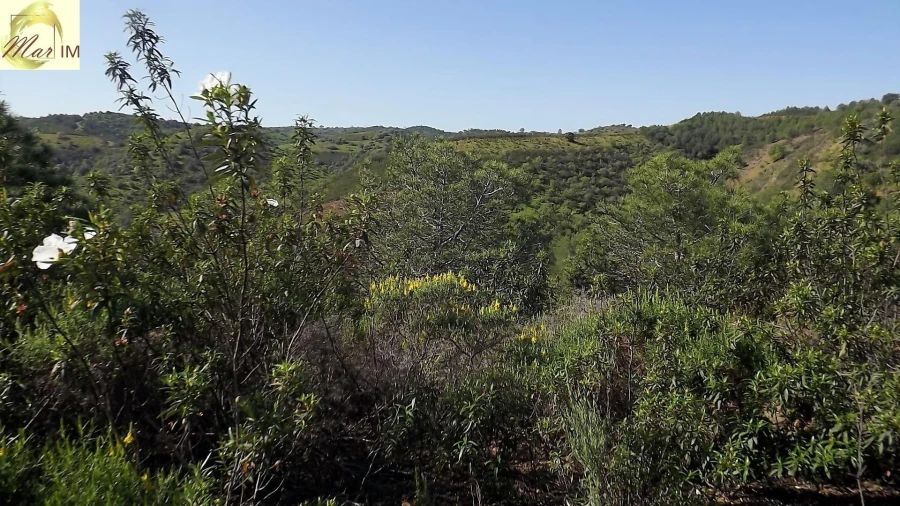 Terreno Agricola ou Rústico para Venda em Odeleite Foto 12