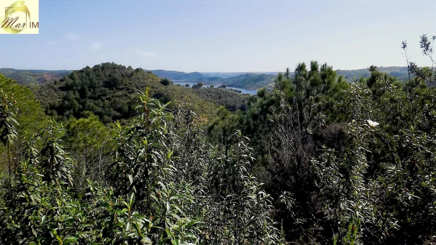 Terreno Agricola ou Rústico para Venda em Odeleite Foto 13
