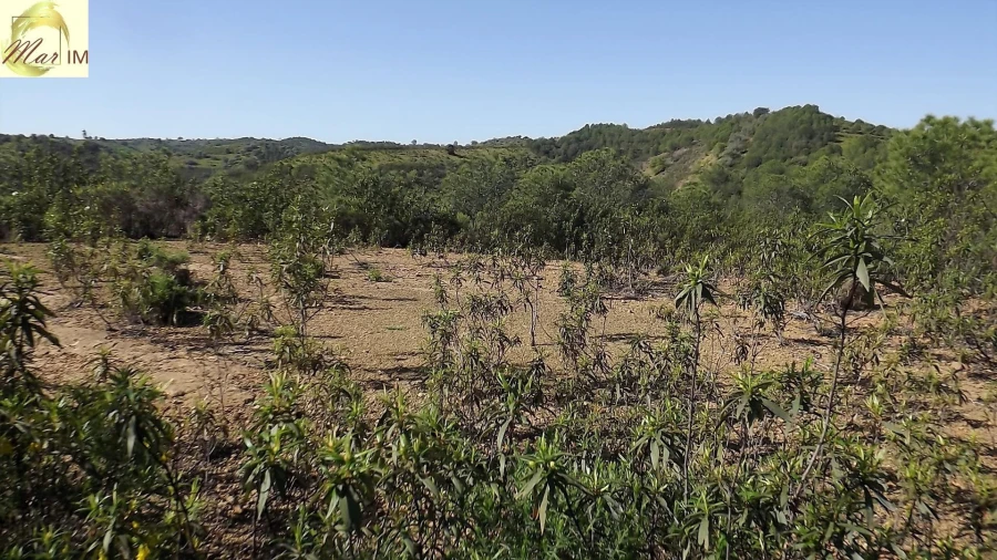 Terreno Agricola ou Rústico para Venda em Odeleite Foto 15