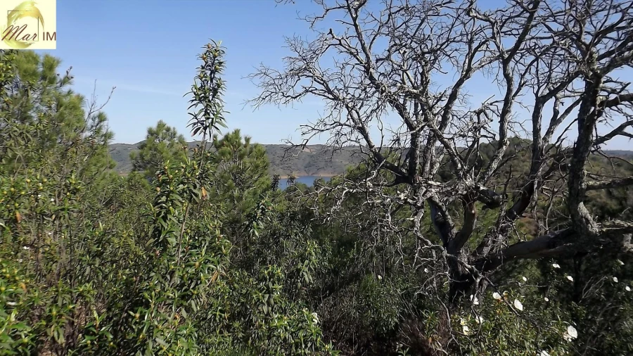 Terreno Agricola ou Rústico para Venda em Odeleite Foto 21