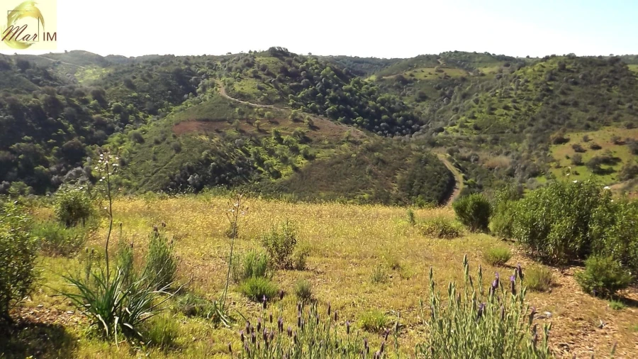 Terreno Agricola ou Rústico para Venda em Odeleite Foto 23