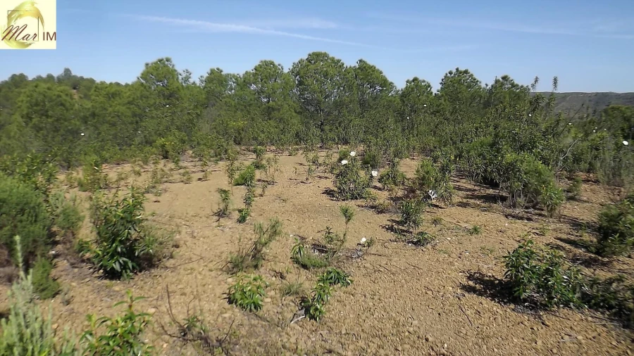 Terreno Agricola ou Rústico para Venda em Odeleite Foto 25