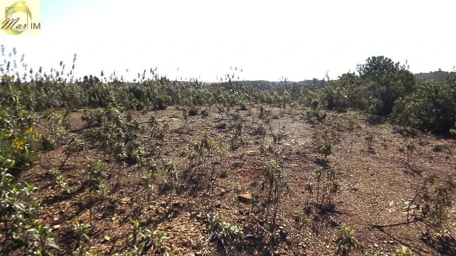 Terreno Agricola ou Rústico para Venda em Odeleite Foto 27