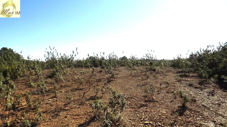 Terreno Agricola ou Rústico para Venda em Odeleite Foto 28