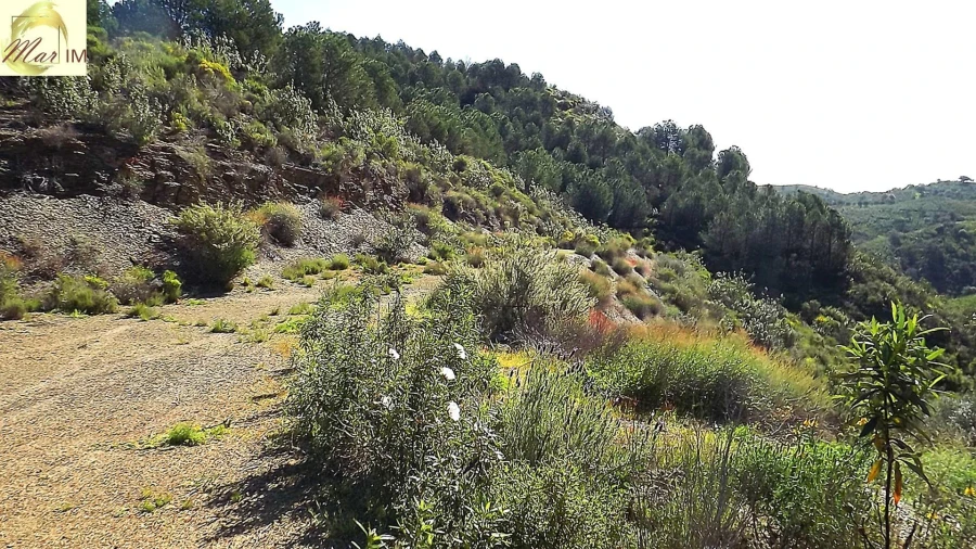 Terreno Agricola ou Rústico para Venda em Odeleite Foto 49