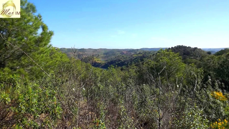 Terreno Agricola ou Rústico para Venda em Odeleite Foto 8