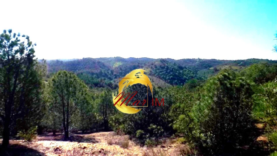 Terreno Agricola ou Rústico para Venda em Odeleite Foto 26