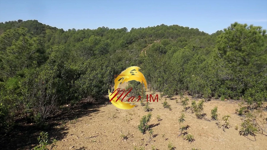 Terreno Agricola ou Rústico para Venda em Odeleite Foto 29